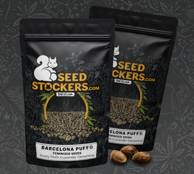 картинка Barcelona Puff от магазина Semki