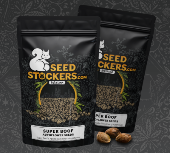 картинка Super Boof Auto от магазина Semki