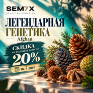 −20% НА ВСЕ СОРТА С ГЕНЕТИКОЙ AFGHAN от магазина Semki