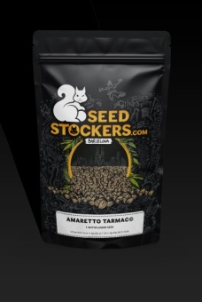 картинка Amaretto Tarmac Auto от магазина Semki